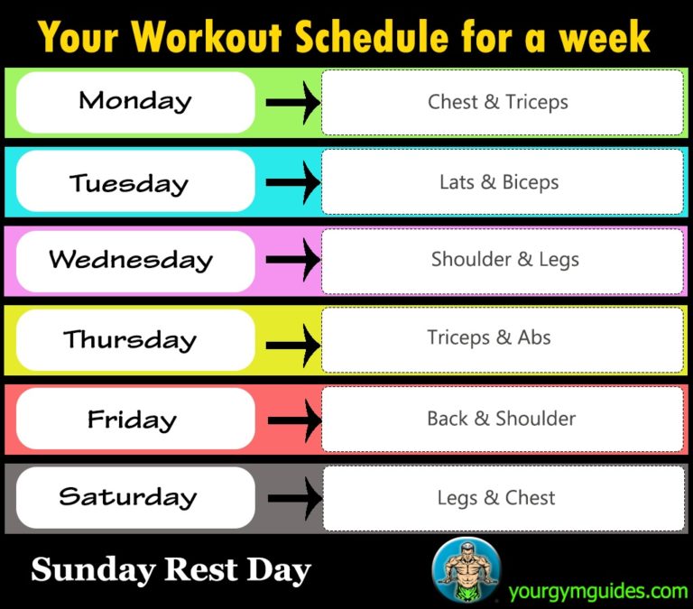 Workout Schedule List HEALTH GYM GUIDE