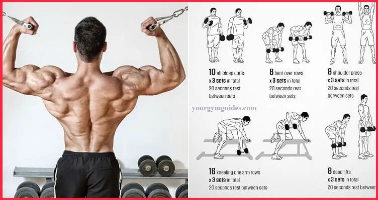 The Best Workout Combination - Back and Biceps | HEALTH & GYM GUIDE