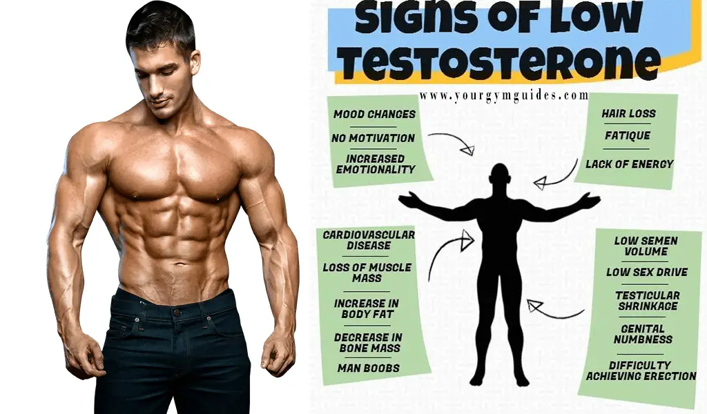 12 sign of low Testosterone in men increasing testerone