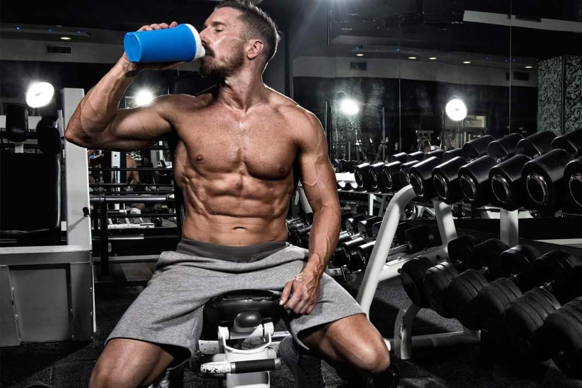 Best Whey Protein Isolate To Build Muscle In India 2019