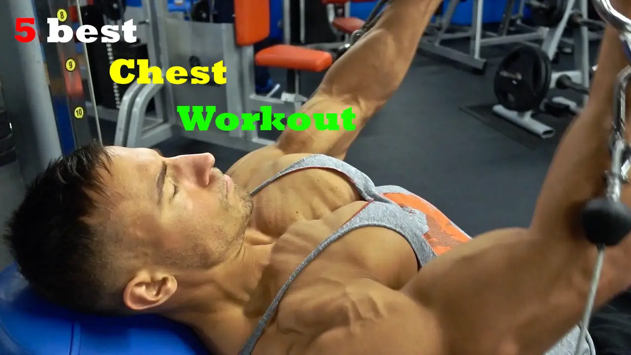 Read more about the article 5 Best Chest Exercises For Building Muscle