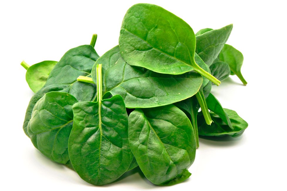 spinach best source of nutrition