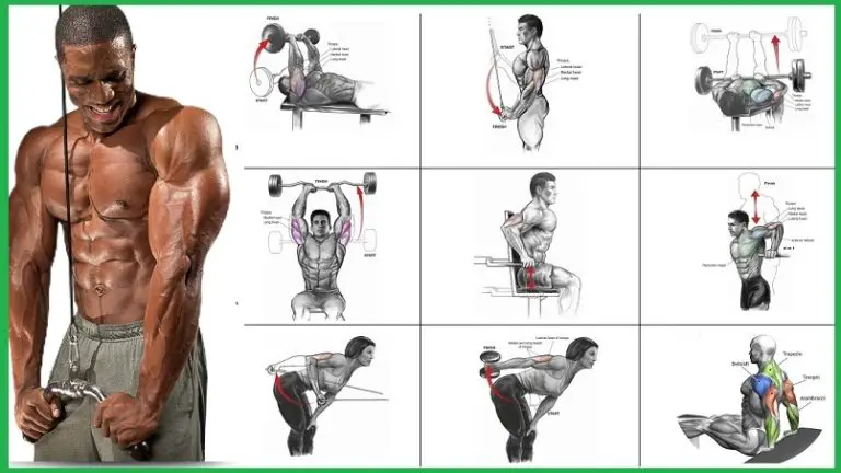 6 Best Triceps Workouts For Men & Women