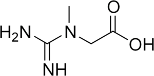 Creatine neutral structure