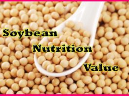 High-quality-soya-bean-for-oil-soybean