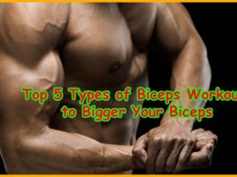 Types of Biceps workout for Big Biceps