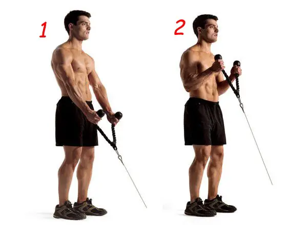 5 Day Rope Cable Workout for Burn Fat fast