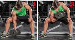 dumbbell-concentration-curls-