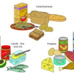 Carbohydrate food