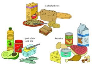 Carbohydrate foods