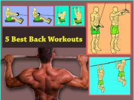 Back Workout cover image