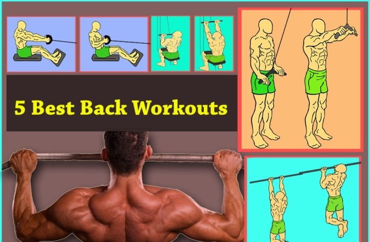 Back Workout cover image