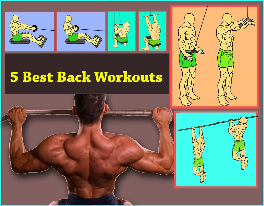 Read more about the article 5 Best  Back Workout – lats workout