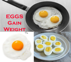 eggs to gain weight