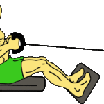 seated-cable-rows-lats-workout
