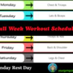 workout schedule list