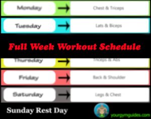 Read more about the article Full Week GYM Workout Plan