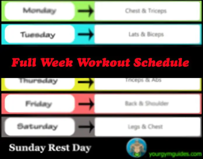 full week workout plan