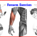 4 Top Forearm Exercise ( workout )