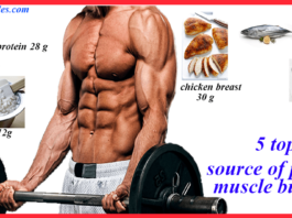 protein for muscle building