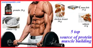 Read more about the article The Top 5 Source of protein muscle building