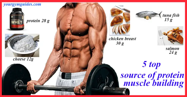 The Top 5 Source of protein muscle building