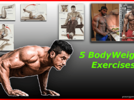 5 bodyweight exercise 5 bodyweight exercises