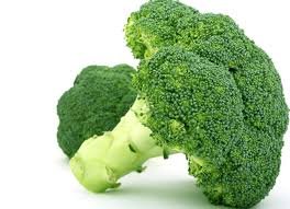 Broccoli vegetable high protein