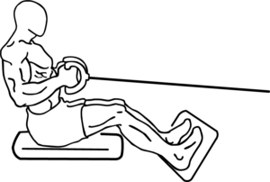  Exercise 3: Seated Cable row