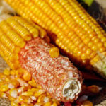 Corn high protein and nutrition valuesjpg