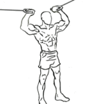 Overhead-curl Biceps curl with pully