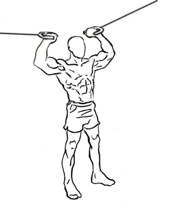Biceps curl with pully Best Workout Combination back and biceps