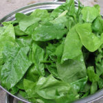 Spinach_leaves good source of iron and protein