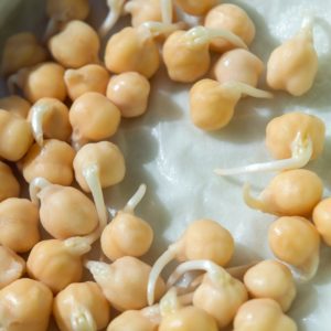 chick-pea nutritional value and proteins vegetables-high in proteins