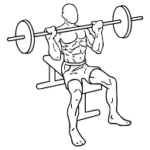 shoulder press exercise