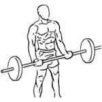 Best Workout Combination back and biceps