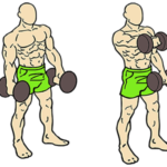 front-raises-shoulder-exercise
