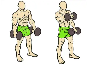 front raises shoulder exercise