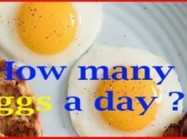how many eggs a day should i eat daily for bodybuilding.com 2
