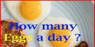 how many eggs a day should i eat daily for bodybuilding.com 2