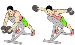reverse flyer shoulder exercise 