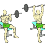 seated shoulder push press