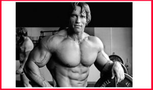 Read more about the article All About ARNOLD SCHWARZENEGGER