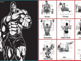 How to Lift Weights to gain Build Muscle