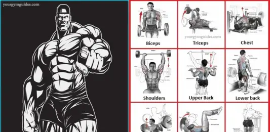 How to Lift Weights to gain Build Muscle