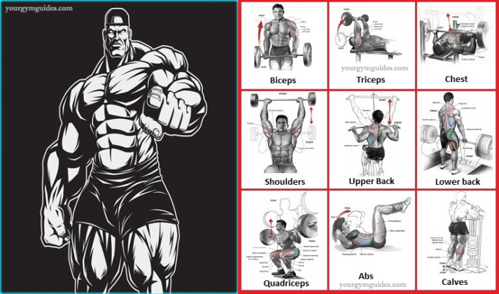 how-to-lift-weights-to-gain-build-muscle-how-bodybuilders-do-it