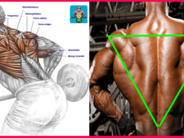 Upper Back Exercises