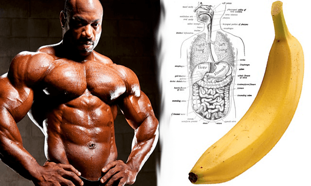 Is Banana good for bodybuilding muscle banana – Should I Eat Bananas to Build Muscle –