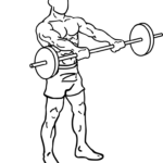 Barbell-front-raises-1