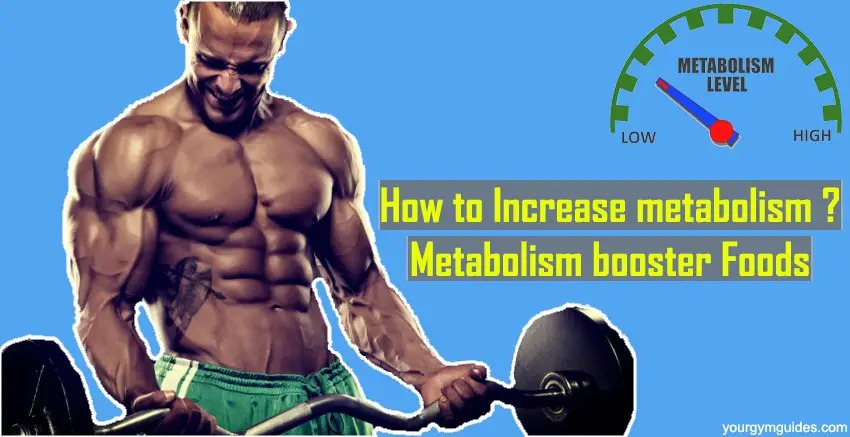 You are currently viewing Metabolism Booster Foods – How to Increase Metabolism ?